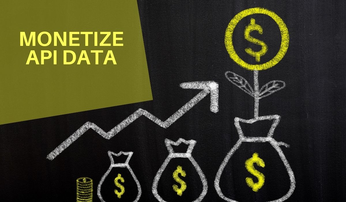 How to Monetize Your API Data