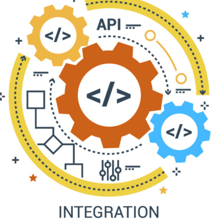 Maximizing the Potential of Your API Integration