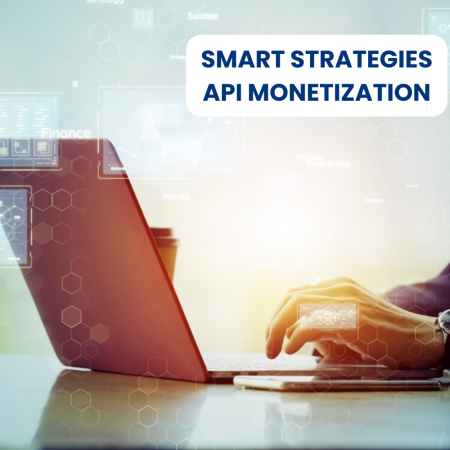 Smart Strategies for Maximizing the Monetization of Your API