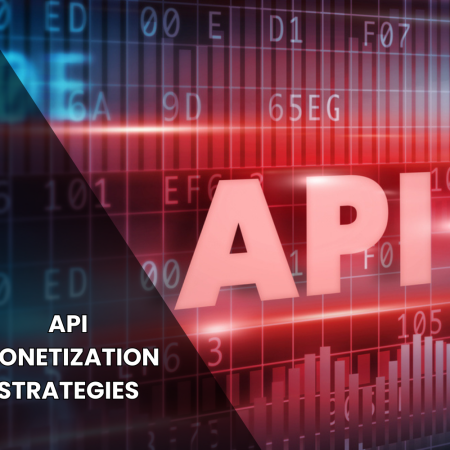 Get the Maximum Return on your API Investment: API Monetization Strategies