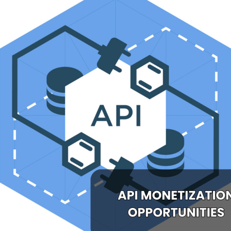 Find Out How to Leverage Emerging API Monetization Opportunities